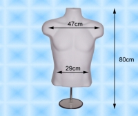 Cens.com Stocky Male Torso Mannequin w/Stand  CHING YING PLASTICS CORP.