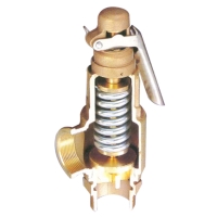 CENS.com Bronze Safty Valve