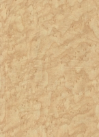 Cens.com Wood Grain Decorative Paper/Melamine Paper/PVC/PETG Film- Natural Maple M.S. PRINTING CO., LTD.