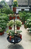 Cens.com Multifunctional K/D Flower Rack LI PAO FU INDUSTRIAL CO., LTD.