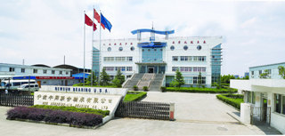 One of Newsun Group`s Joint-venture bearing factories in China.
