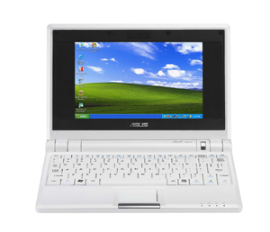  Taiwan suppliers dominate 99% of the global netbook segment.