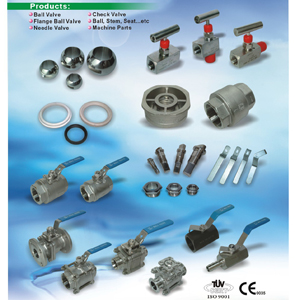 Valves and machine parts developed by Zhe Thai.
