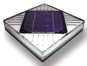 Rooster`s solar module. 