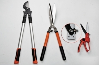 Wise Center explores the Chinese market by focusing on professional garden tools.