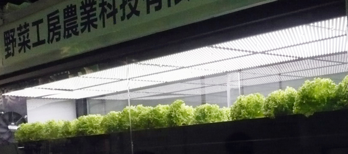 Vegfab’s greenhouses feature artificially controlled ambient conditions.