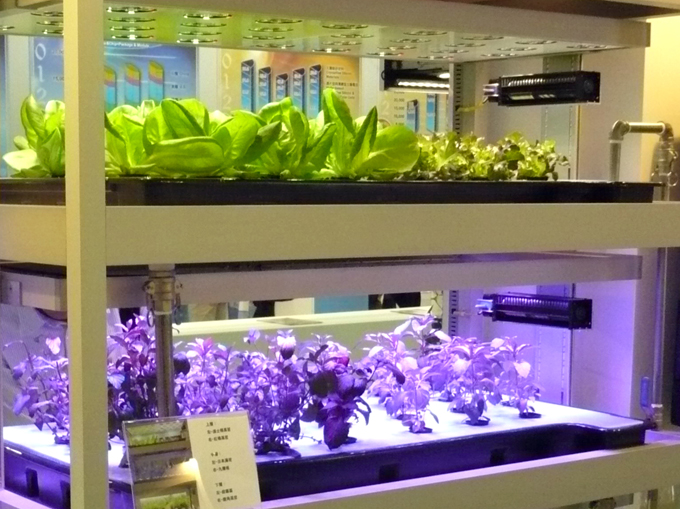 Nano Bio Light applies data from 10-plus years of research with academic institutes to LED-lit greenhouses.