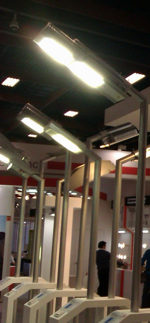 Street lamps were selected as the first LED products to be targeted for government subsidies.