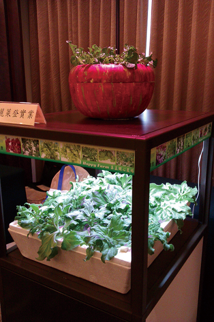 Li Lai Den Industrial Co. sells indoor and outdoor versions of its home-style hydroponic rack.