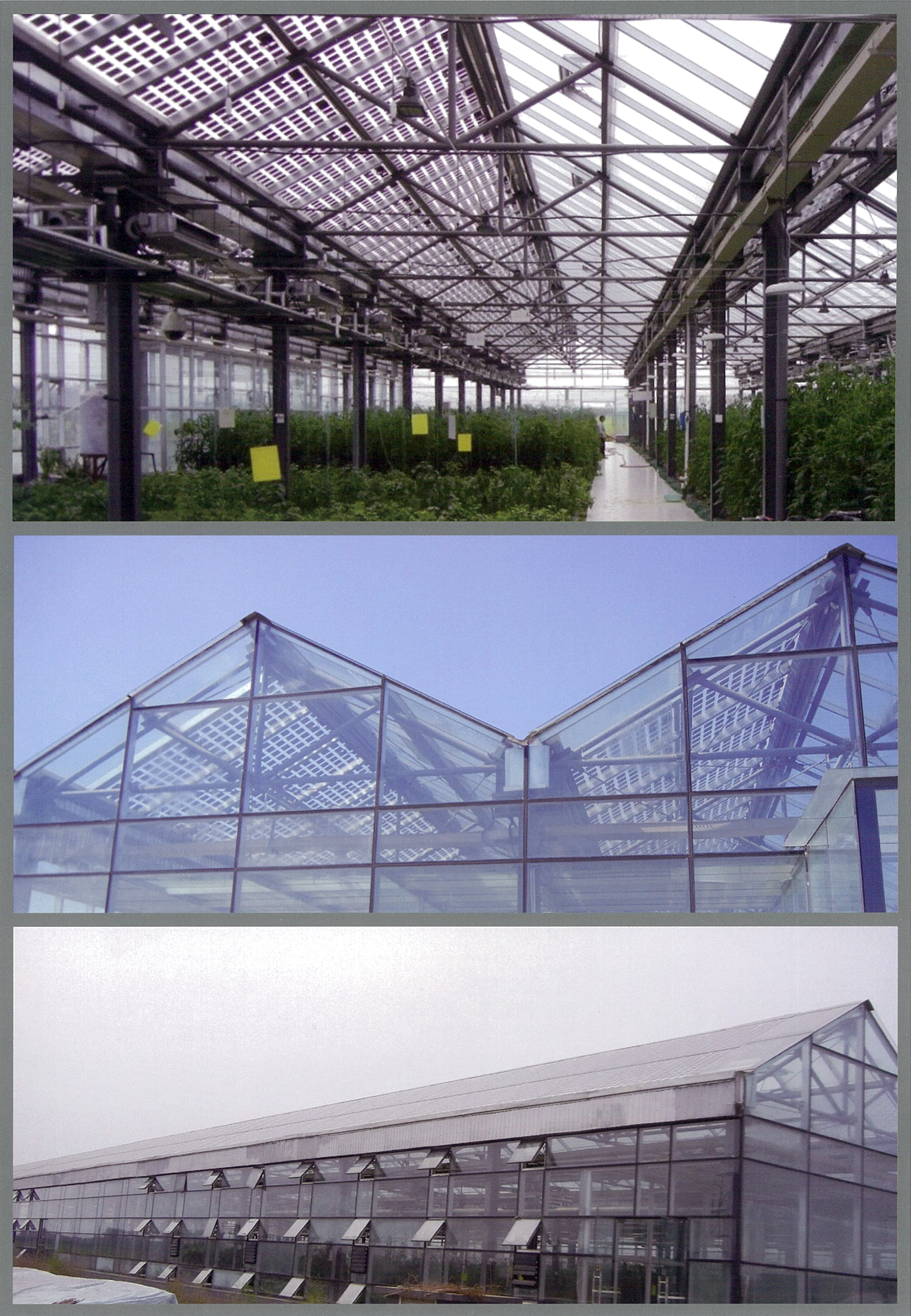 ArchEnergy supplies greenhouses powered by solar panels.