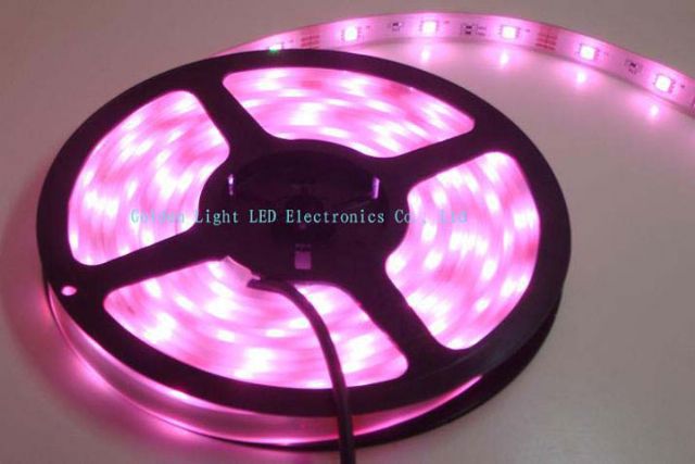 LED Strip Lights