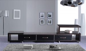 Hanaco's TV stand features clean-lines, Euro aesthetics and smartly arranged compartments.