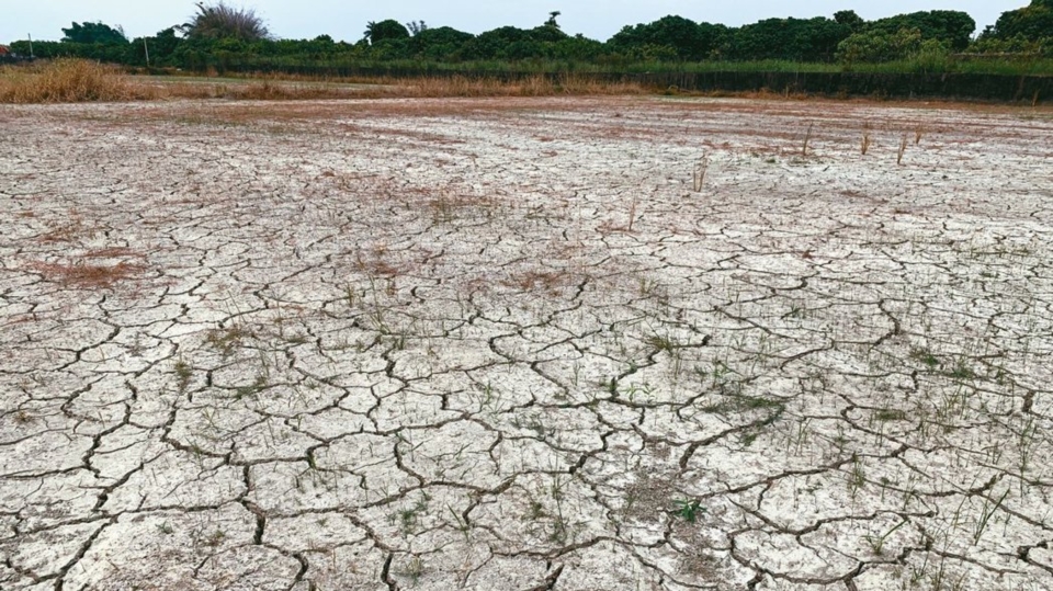 台南農地乾旱龜裂。 聯合報系資料庫
