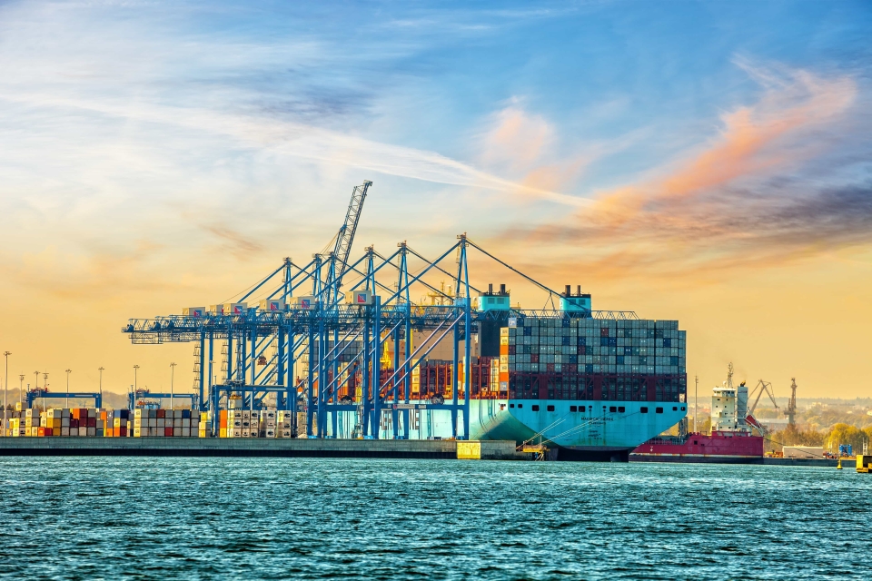 Container shipping companies will continue to grapple with congested ports in the near future.