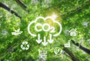 Carbon Reduction Demand Accelerates Green Energy Development Policy Guidance and Private Sector Collaboration Create Sustainable Opportunities</h1>