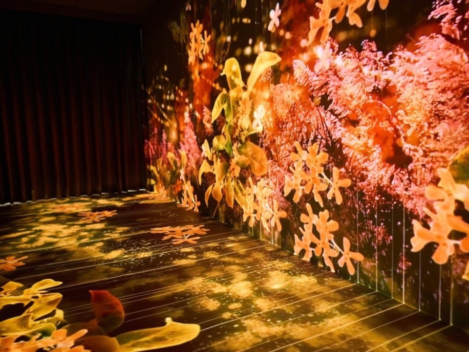 經濟部中企署推動5G與AI科技普及化應用,在坪林遊客中心,業者應用科技,建置5G沉浸互動茶食科技空間,讓遊客一次感受四季之美。(圖/經濟部中企署提供) 經濟部中企署推動5G與AI科技普及化應用,在坪林遊客中心,業者應用科技,建置5G沉浸互動茶食科技空間,讓遊客一次感受四季之美。(圖/經濟部中企署提供)