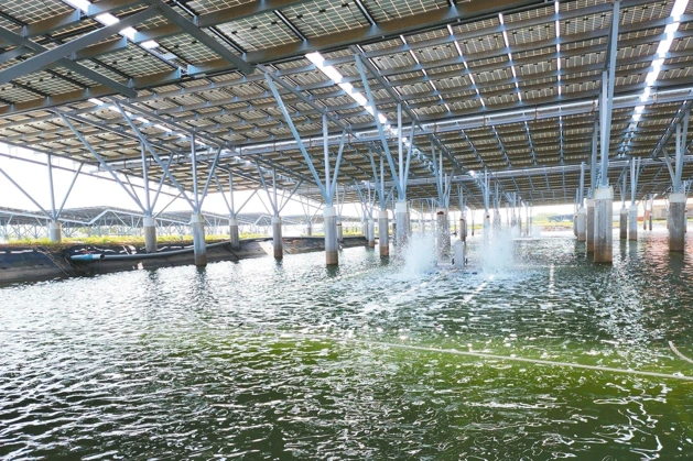 立法院日前三讀通過環評法部分條文，限制光電開發，要求開發前應實施環評。圖／聯合報系資料照