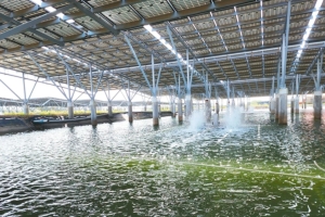 立法院日前三读通过环评法部分条文，限制光电开发，要求开发前应实施环评。图／联合报系资料照