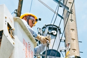 伦敦铜价连三天创新高，AI大需求推升工业铜需求，国际精炼铜附加费（Premium）大涨，国内线缆业明年报价全面喊涨。图／台电提供