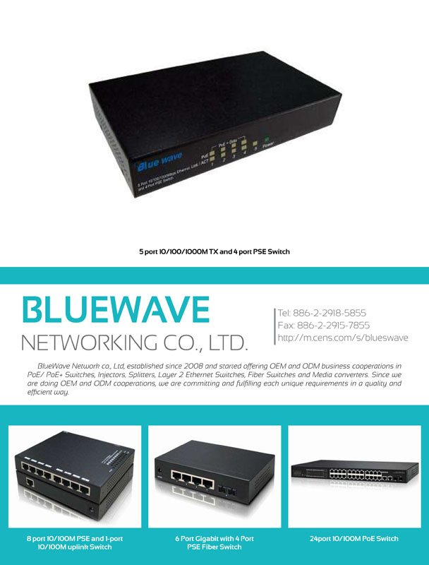 BLUEWAVE NETWORKING CO., LTD.