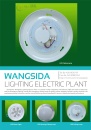 Cens.com CENS Buyer`s Digest AD ZHONGSHAN WANGSIDA LIGHTING ELECTRIC PLANT