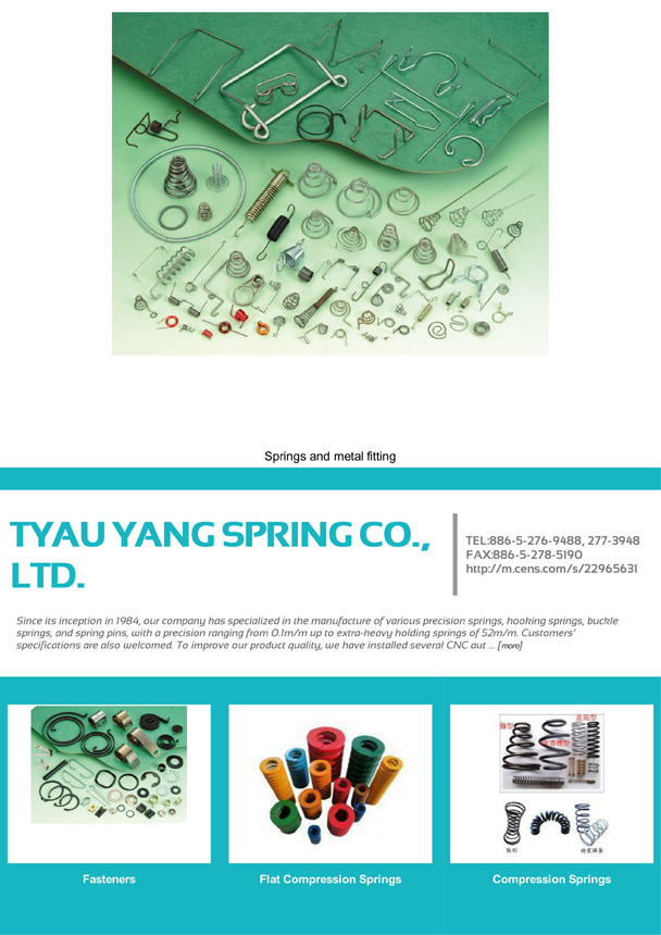 TYAU YANG SPRING CO., LTD.