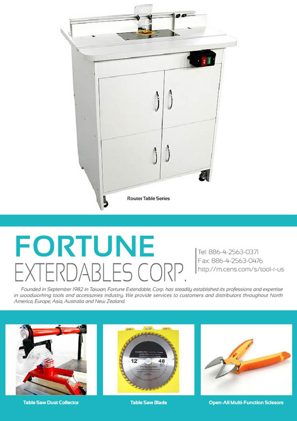 FORTUNE EXTENDABLES CORP.