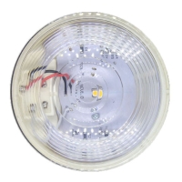 LED 停車燈和尾燈   