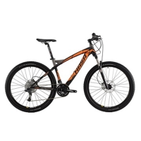 GALLANT 7.0(SRAM X7) GALLANT 7.0(SRAM X7)