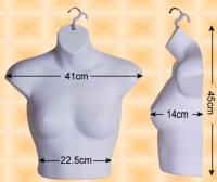 Free-Hanging Ladies’ Chest Form
