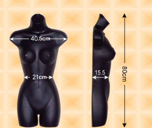 Free-Hanging Ladies’Torso--Slender Waist Free-Hanging Ladies’Torso--Slender Waist