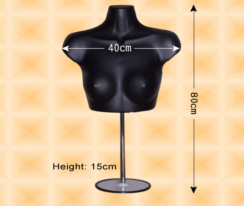 女上半身含座 女上半身含座