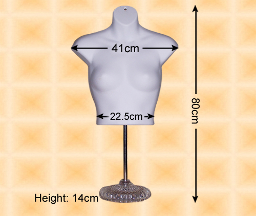 女衬衫含座 女衬衫含座