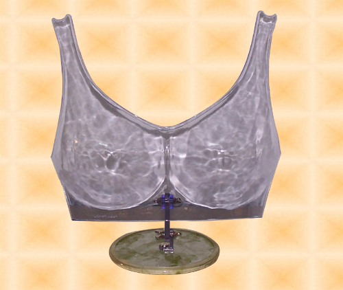 Brassiere Form w/Stand