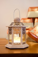 Decorative Lights/Christmas Lights/Neon Lights