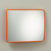 Convex Security Mirror