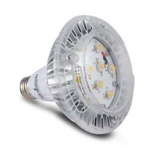 LED PAR Lamp — GL LED PAR30 & PAR38 series LED PAR Lamp — GL LED PAR30 & PAR38 series