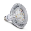 LED PAR Lamp — GL LED PAR30 & PAR38 series
