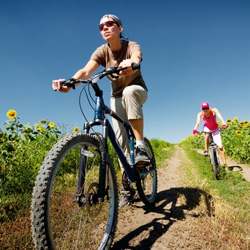 Bicycle Testing Services Bicycle Testing Services