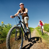 Bicycle Testing Services Bicycle Testing Services