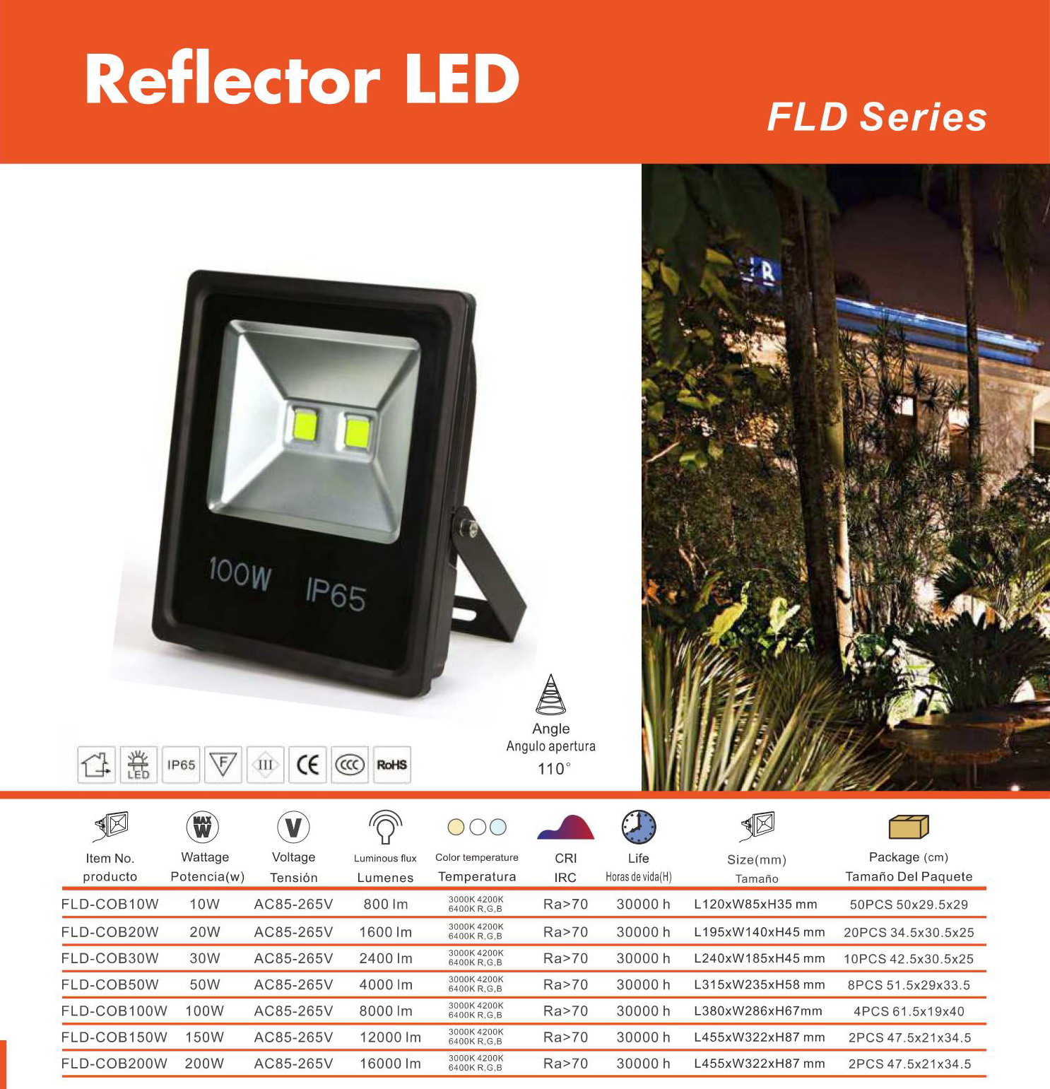 FLOOD LED COB