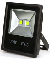 FLOOD LED COB