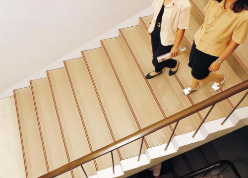 UNIQUE Anti-Sliding Stairs