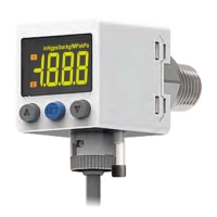 SE51 digital pressure switch