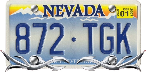 LICENSE DECORATION