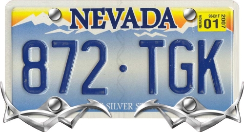 LICENSE DECORATION