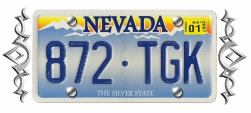 LICENSE DECORATION