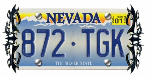 LICENSE DECORATION