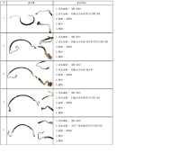 HONDA Brand Power Steering Hose
