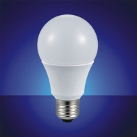 LED Bulb (Plastic Housing) 